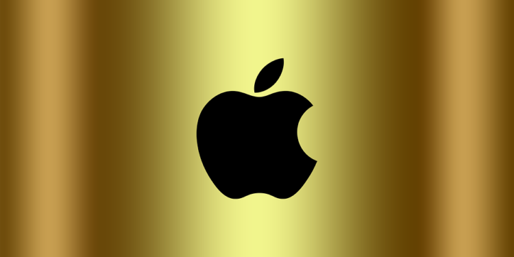 World's richest company Apple earns millions per second